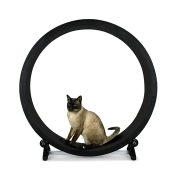 128*122*30cm PVC EVA Cat sportinis ratas katės žaislas katė sportinis žaislas katė bėgimo ratas laipiojimo ratas rėmas katės laipiojimo ratas katės bėgimo takelis