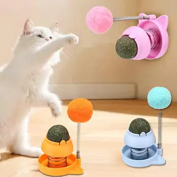 Catnip Wall Toys Rotatable Cat Licking Balls Valgomi ir sveiki su pavasario kamuoliu Katė laižo kamuoliuką Žaislas sieniniam katžolės kamuoliukui