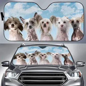 Juokingi kinų kuoduotieji šunys mėlynas dangaus raštas automobilio saulės skydelis, mielas kinų kuoduotųjų šunų komandos dangaus fonas automatinis saulės atspalvis, skydelis skirtas