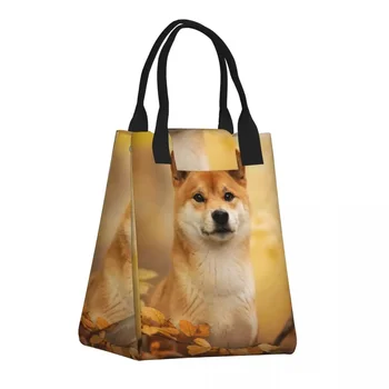 Mielas Shiba Inu šuo izoliuotas pietų krepšys moterims Gyvūnų raštas Naudojamas šiltas aušintuvas Terminis pietų krepšys Maisto konteineris Tote