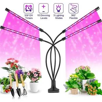 Profesionalus patalpų fito LED sodinukas Viso spektro gėlių auginimas Augalų lempa Sodo reikmenys auga Šviesos