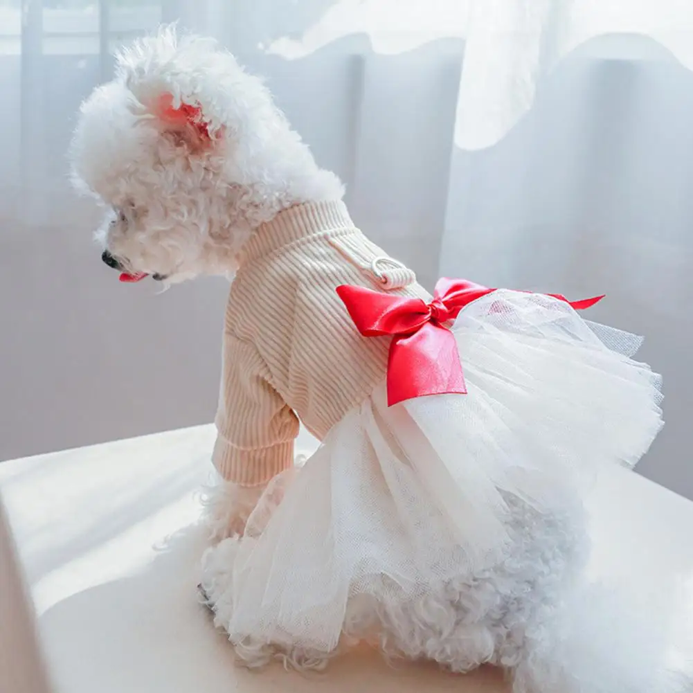 Šunų aprangos tinklelis Susiliejimas apvaliu kaklu Naminis šuo Katė Princesė Tiulio sijonas одежда для мелких собак