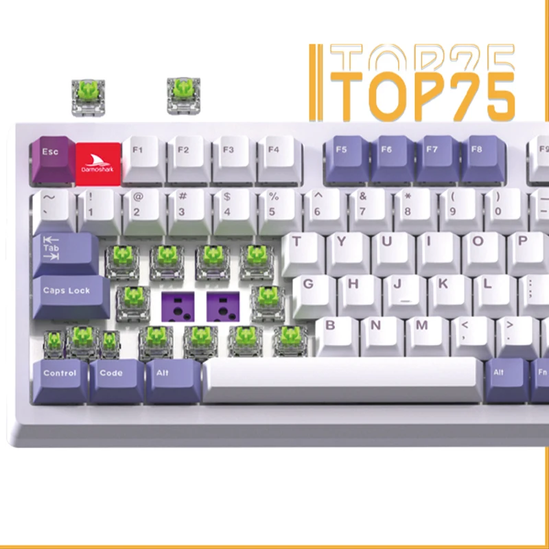 Darmoshark Top75 mechaninė klaviatūra Belaidės 