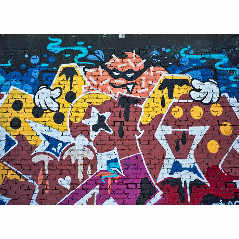 SHUOZHIKE Plytų sienos menas Graffiti fotografija Fonai Kūdikių vaikų portretinės fotografijos fonas fotostudijai TYD-03