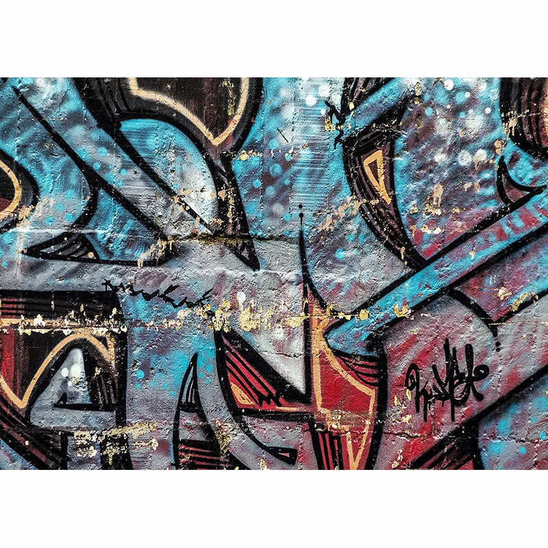 SHUOZHIKE Plytų sienos menas Graffiti fotografija Fonai Kūdikių vaikų portretinės fotografijos fonas fotostudijai TYD-03